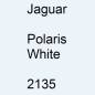 Preview: Jaguar, Polaris White, 2135.